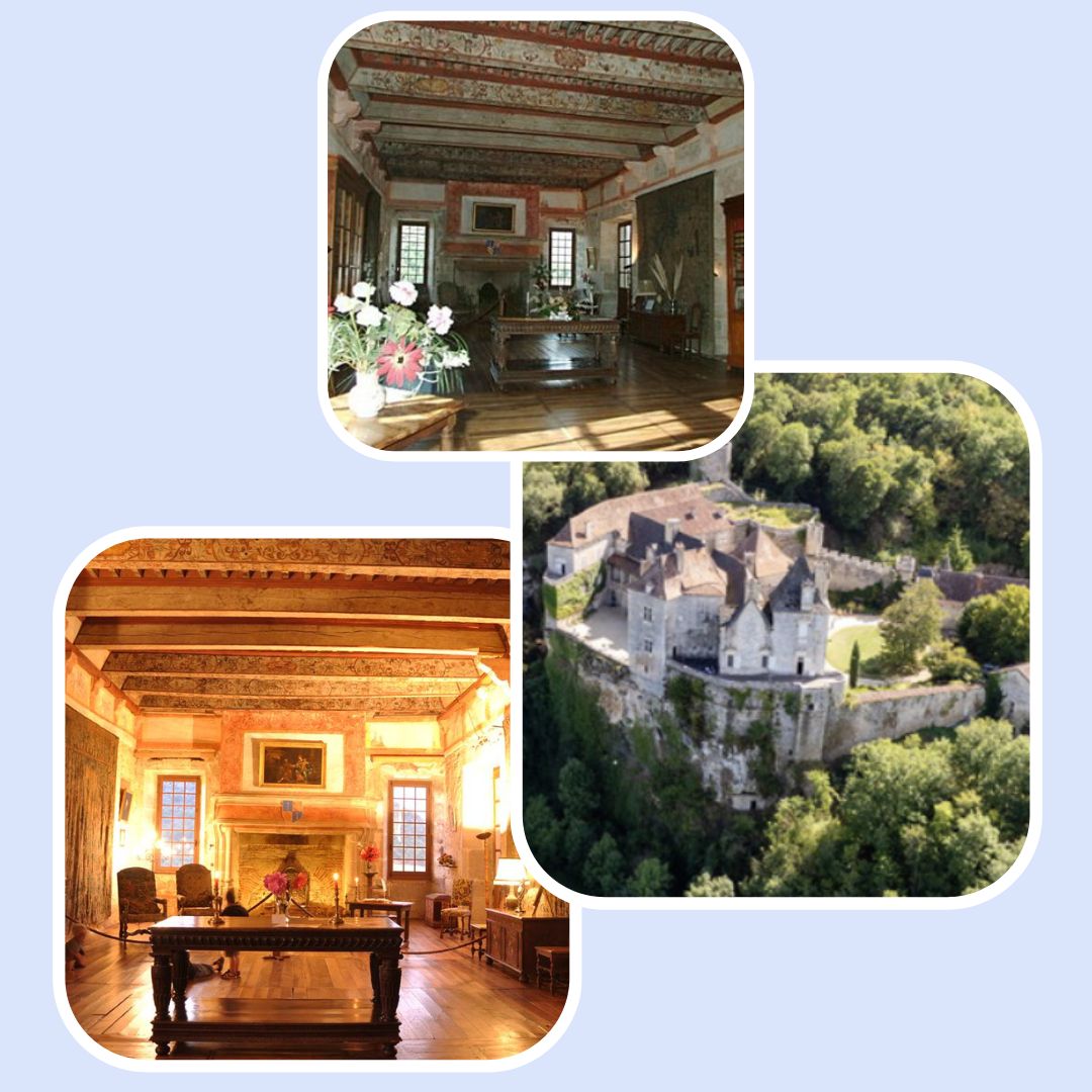 Mosaïque d'images du Château de Cenevières